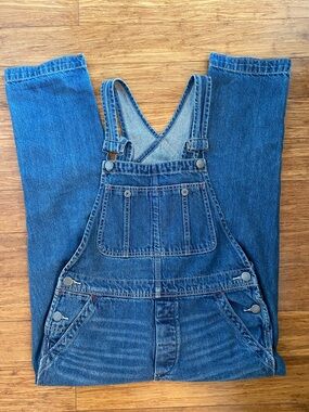 Free People Light Blue Denim Overalls